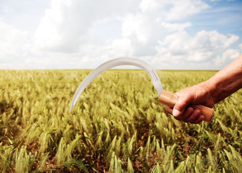Foicinha Com Dentes Com Cabo Tramontina - 1